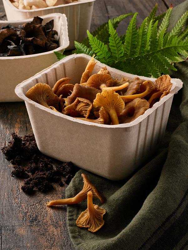 Aanbod food containers